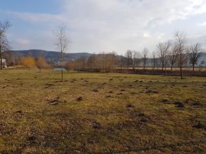 Kronika města Turnova 2018 256 Projekt pro Turnov participativní rozpočet Na jaře proběhlo již podruhé hlasování o tzv. Projektu pro Turnov.
