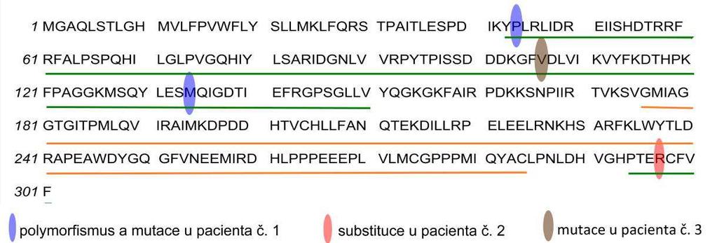 Záměna by mohla vést k oslabení kontaktu mezi oběma doménami a ovlivnit tak stabilitu enzymu (Percy & Lappin, 2008). Mutace Met134Val nebyla dosud popsána. Substituce c.