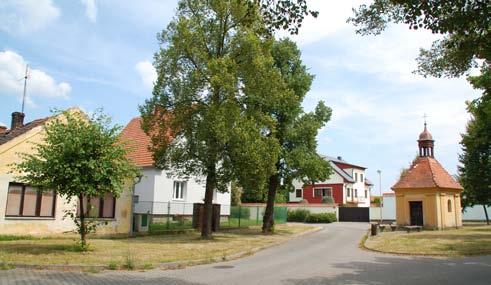 K dalšímu nárůstu došlo po roce 1910, kdy se uzavřely Thurn-taxiské uhelné doly u Litic, prázdné hornické kolonie byly srovnány se zemí a propuštění horníci hledali byty v blízkých Vejprnicích a na