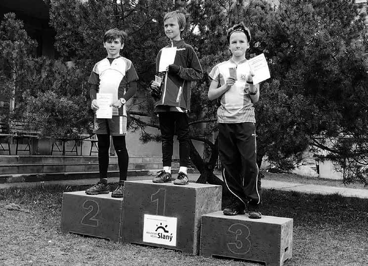 boxu Sandě. Celou sobotu i neděli zde stovky atletů nabízely divákům úžasnou podívanou. Vrcholem celé akce pak byl sobotní Gala večer, který můžete zhlédnout na Facebooku (WKS Wushu Open Louny 2019).