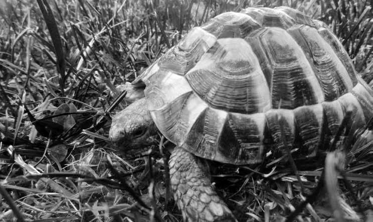Markéta Matoušková. Dětem byl ve spolupráci se školami rozdán cestovní pas, kam měly v období 1. května 14.