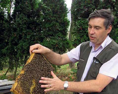 Stabilní materiál je něco podstatně lepšího, než spotřební matky, jejichž dcery jsou veliký otazník. Chovatelské sdružení tedy potřebuje uznání nejen papírové, ale i v povědomí včelařů.