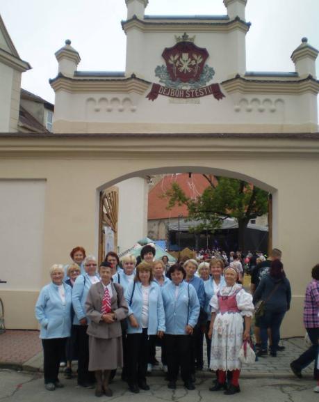 Dožínkové slavnosti v Soběslavi a průvodu městem - 15. 9. 2018 Jaroslava Zemanová, vzdělavatelka T.J. Sokol Strakonice V roce 2018 měla jednota celkem 283 členů (204 žactvo, 79 dospělí včetně seniorů).