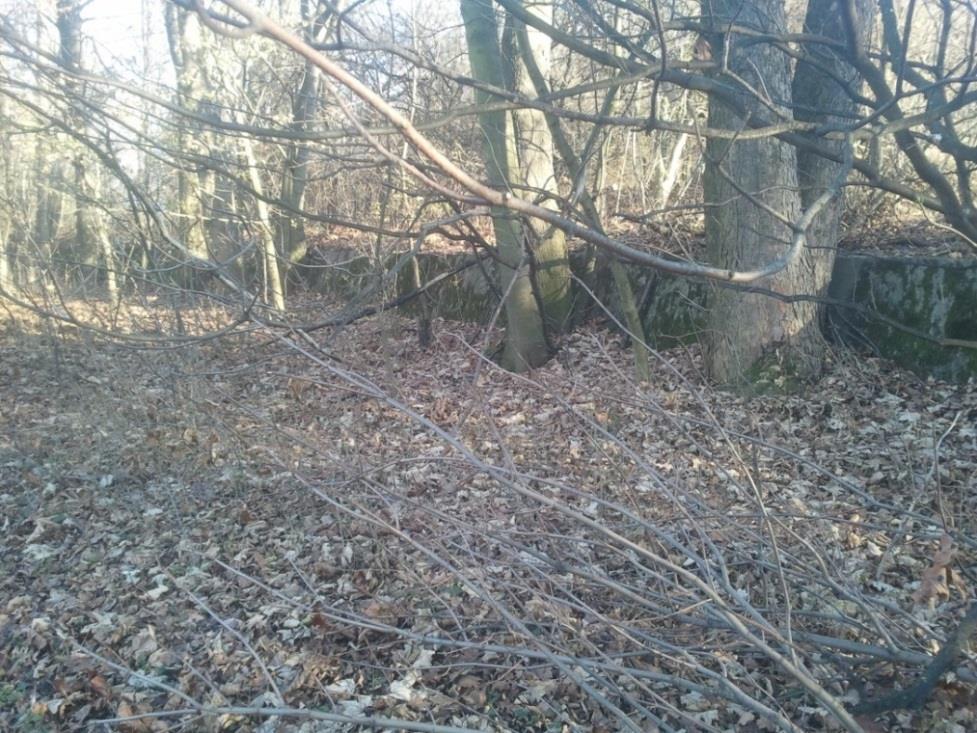 Příloha 9 Téměř zachovalá protitanková železobetonová zeď v