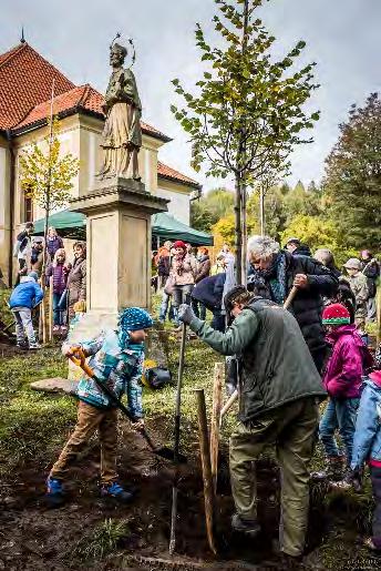 Článek z webových stránek Svazu měst a obcí ČR 19.09.2019 13:21 Starostové sází budoucnost Starostové #sazibudoucnost. Velké sázení stromů odstartovalo.