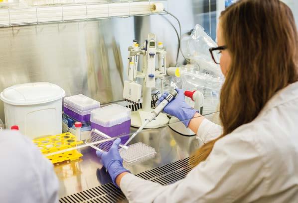 Soubor požadavků a ukazatelů výkonu pro činnost Veterinární a farmaceutické univerzity Brno (dále též vysoké školy ) byl vypracován a obsahuje stanovené požadavky a ukazatele výkonu pro vzdělávání,
