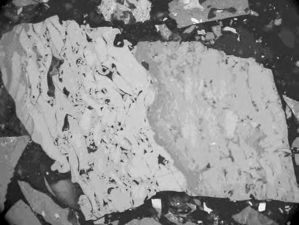 9) is still resistant to the coking processes, but the oxysemifusinite' range of reflectance is wide, from intense, down to that
