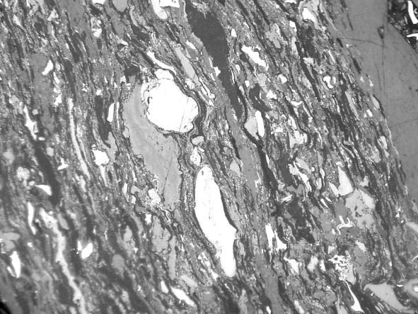 reactivity. However both macerals usually occur in irrelevant portions.