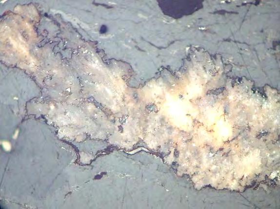 ISSN 0018-8069 Paliva, koksárenství Fuels,Coke Making Micrinite (Fig. 11) is the very specific maceral of the inertinite group.