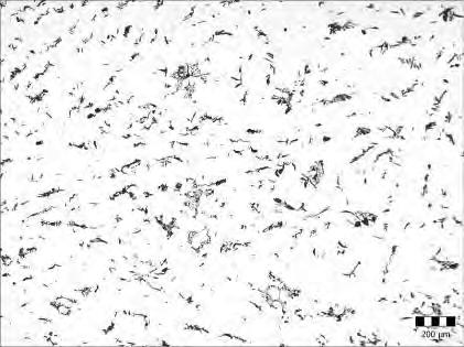 3(a)-(f) Morfologie grafitu v ICDP odlitku modifikovaném Al+Ce Fig.