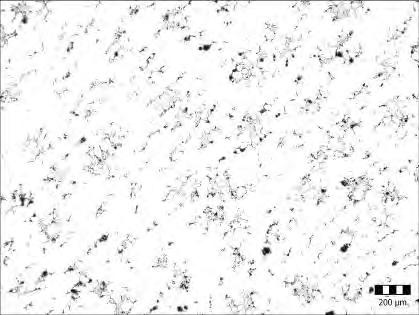 4 Mikrostruktura zobrazená v EBSD (difrakce odražených elektronů), (a) shluky nekovových inkluzí, (b) inkluze v okolí grafitických částic In the studied sample 2 clusters of non-metallic particles