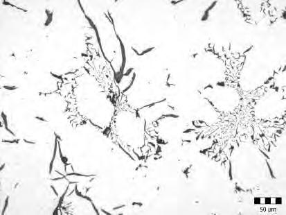 055%Ce formed sulphides or complex oxides, which often precipitated as the clusters, see the EBSD image in Fig. 4(a). Apart from those inclusions small amount of aluminium nitrides was revealed.