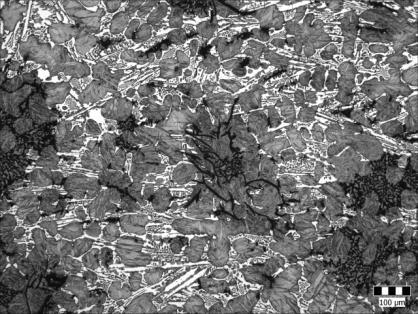 Nevertheless, as far as available results are concerned the direct association with modifiers was not so obvious.