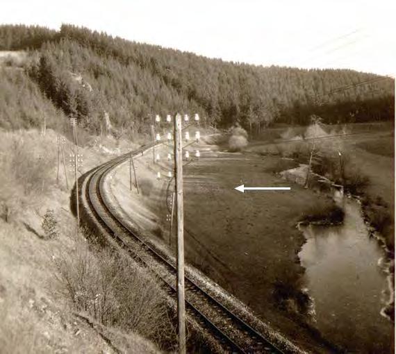 Historie hutnictví Obr. 5 Fig. 5 Směr k Růženině štole (obr. 3) pod náspem dnes zrušené železniční tratě volně (nazývané jako stará žďárka (foto r. 1940, archiv J. Holešák).