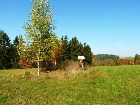 Například ústí Červené štoly nad levým břehem řeky Sázavy, jižně od Štukhejlského mlýna, bylo před několika lety zavaleno sesuvem půdy, bývalou Žebráckou štolu připomínal ještě před tuctem let vodní