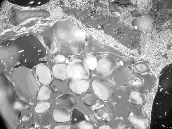 4) that in coking coals possesses the ability to form the globules of mesophase, which during caking process forms coke matrix (Fig. 2).