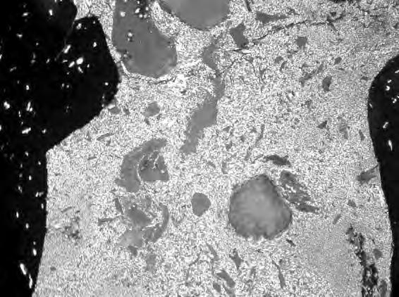 The latter one may be associated with pseudowitrinite that is distinguished by slightly higher reflectance and displays characteristic irregular slits. Its coking potential is lower (7).
