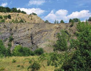 Brownfieldy a nová divočina Pojmem nová divočina označujeme místa, která byla dříve vytvořená nebo intenzivně využívaná lidmi a jejichž opuštěním nebo zánikem hospodaření Staré lomy zvyšují