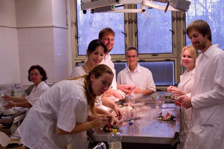 látek a jako model infekce in vitro, nemoci koroptve polní, intoxikace dravců, nežádoucí účinky cyanotoxinů na ryby, obojživelníky a ptáky, a ekotoxikologické využití bezobratlých a rostlin k