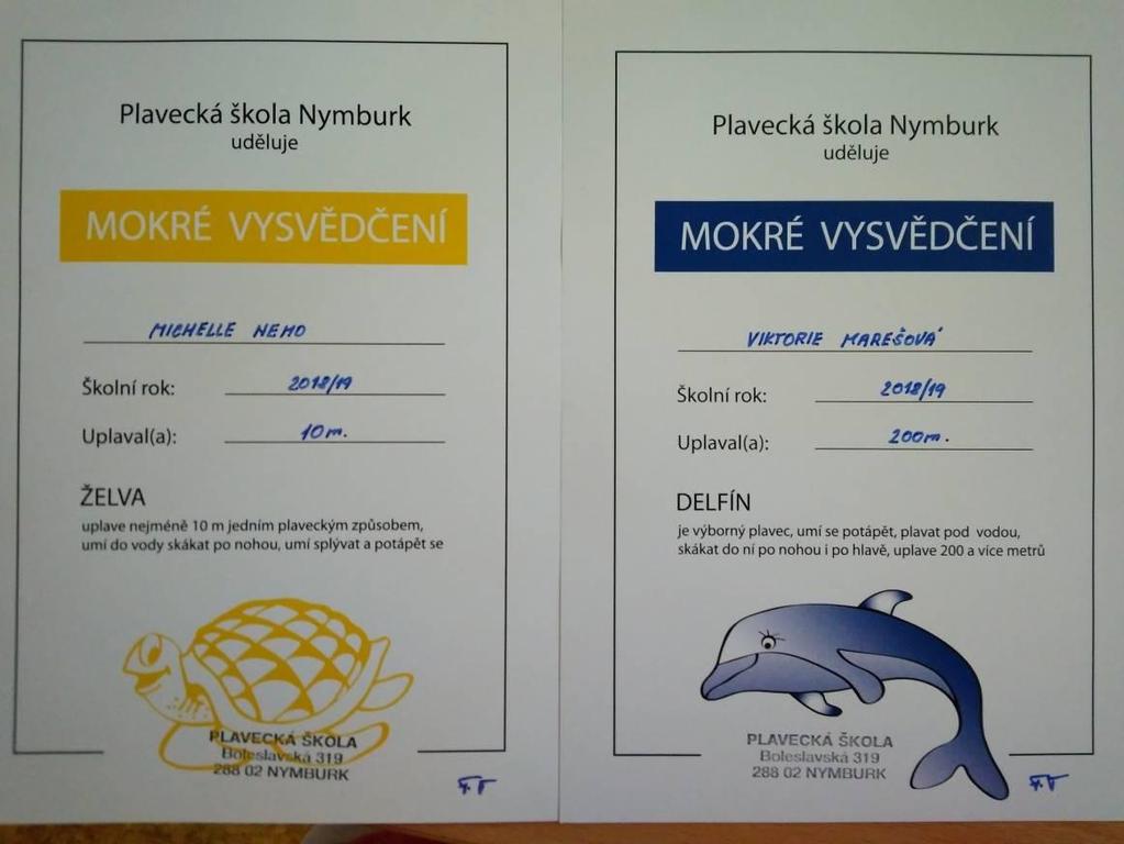 Plavání Tělesná zdatnost a obezita dětí, to je téma, které se teď často objevuje v tisku i na diskusních fórech.