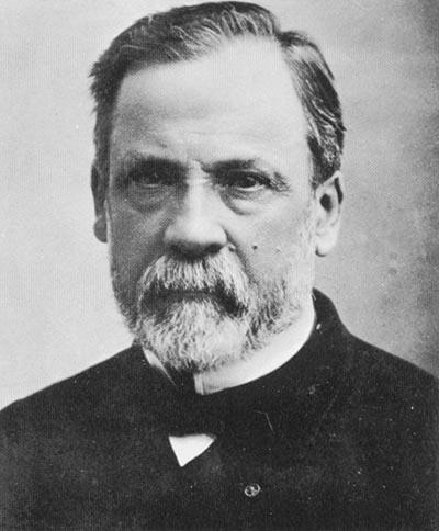 HISTORIE LÉKAŘSKÉ MIKROBIOLOGIE Zakladatelem mikrobiologie jako vědního oboru je Louis Pasteur (1822-1895) Francouzský přírodovědec, profesor chemie na