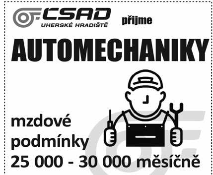 6 INZERCE VZPOMÍNKY SLUŽBY PRODEJ SEZNAMKA SMS INZERCE Osud Ti z tváří růže vzal