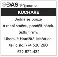 Z2019/199 Kmet gay hledá partnera - jen solidního k životu.
