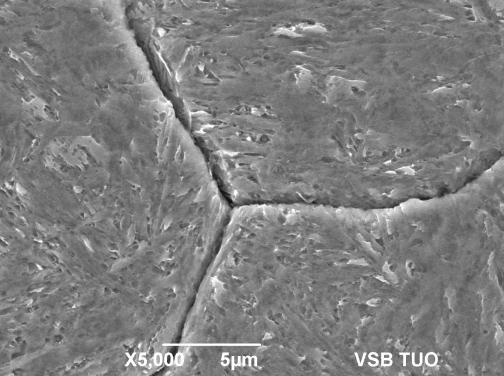 Recenzované vědecké články Peer-reviewed scientific papers ISSN 0018-8069 Snímky na obr. 5 prokazují hrubnutí částic a jejich soustřeďování na hranice zrn při klesající rychlosti ochlazování.