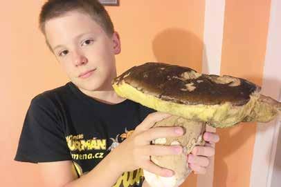 Jeho přítomnost ale může spolehlivě indikovat jednoduché zařízení umístěné v místnosti.
