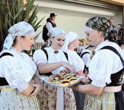 Svátek ukončení sklizně REGION Dožínky v Třanovicích