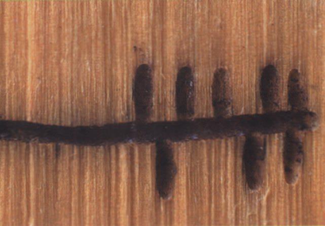 Hluboké