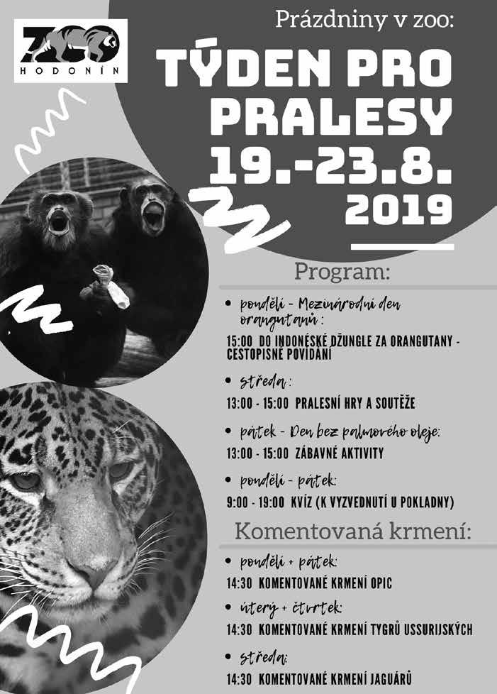 ZOO V zoo se uskutečnil 1. ročník charitativního běhu Zaběhat si, udělat něco pro své zdraví, ale hlavně pomoci ohroženým zvířatům ve volné přírodě mohli účastníci 1.
