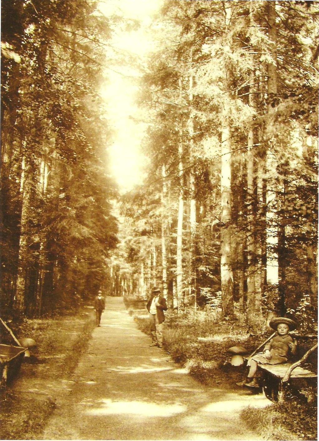 Příl. 13: Prašivice a zámecký