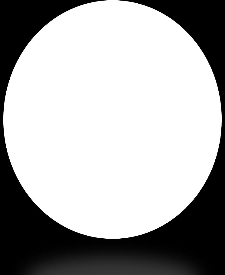 splývající fascie vasa femoralia n.
