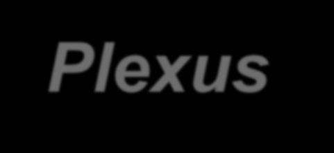 Plexus sacralis