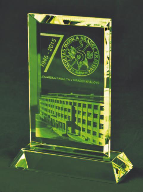 The Dean of the Faculty of Medicine in Hradec Králové awarded a bronze commemorative medal to the academic