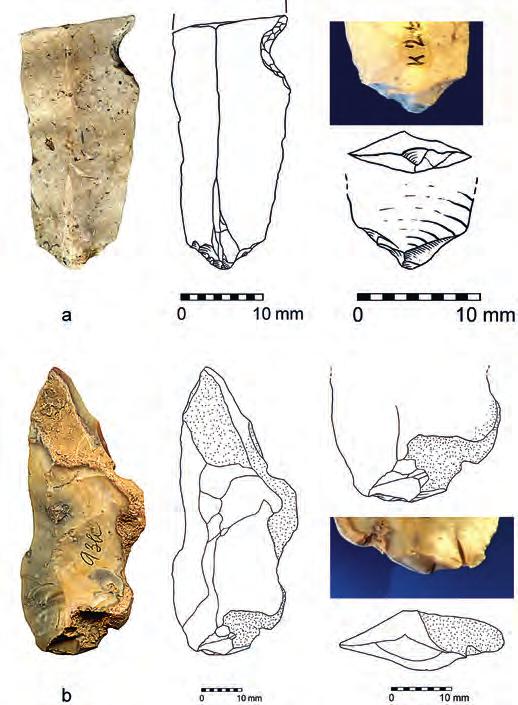 Archeologické rozhledy LXXI 2019 575 Fig. 5. Kůlna, layer 5: a artf. No. 264/61, erratic flint, butt en éperon; b artf. No. 325/61, erratic flint, plain butt. Figs. 5 7: drawing T. Janků, photo by T.