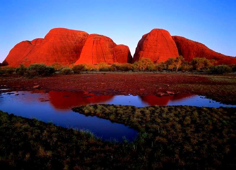 Les Olgas -
