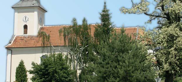 Toto prostranství výrazně prokouklo. Na podzim budou volné plochy osety trávou. Dojde i na výsadbu stromů.