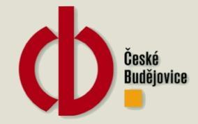 Budějovice Po skončení konference bude v 17 hodin v klášterním kostele Obětování Panny Marie celebrována slavnostní mše svatá ke cti