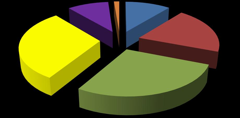 věková struktura 30% 10% 1% 11% 20% do 30 let (včetně) 31-40 let (včetně) 41-50 let (včetně) 28% 51-60 let