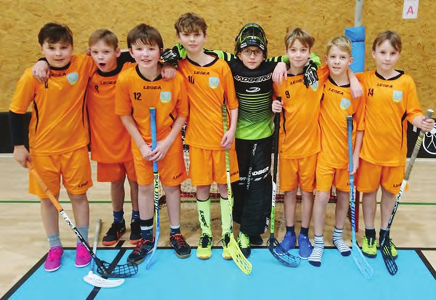 V letošním ročníku k nám přijelo osm základních škol, které reprezentovaly své obce (města) - Hlučín - Rovniny, Dolní Benešov, Oldřišov, Píšť, Bohuslavice, Štěpánkovice, Kobeřice a domácí Bolatice.