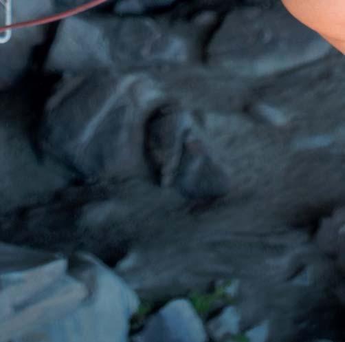 Velmi často zkrátka dokonale vyberu trasu, po které bych měl jít. Byť ji vidím poprvé v životě.
