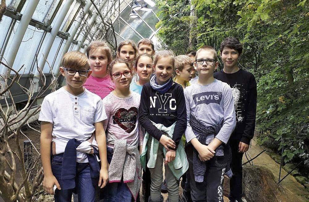 ZÁKLADNÍ ŠKOLY Olympiády - český jazyk a dějepis Naši žáci se v hojném počtu účastnili školního kola olympiády v českém jazyce a dějepisu, ale postoupit do okresního kola mohli jen ti nejlepší.