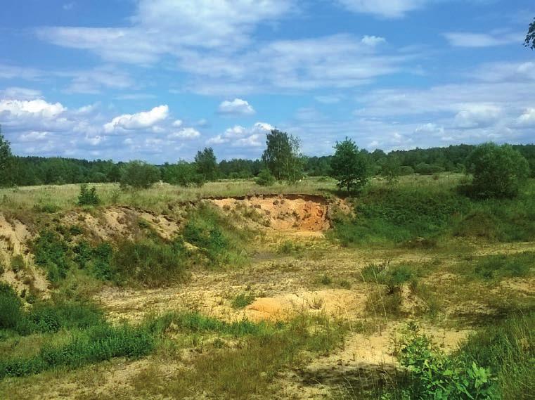 3 The breeding habitat of European Bee-eater (Merops apiaster) at Pískovna na cvičišti Nature Monument. The nesting hole was located in the sandpit wall in the centre of the photograph (photo by V.