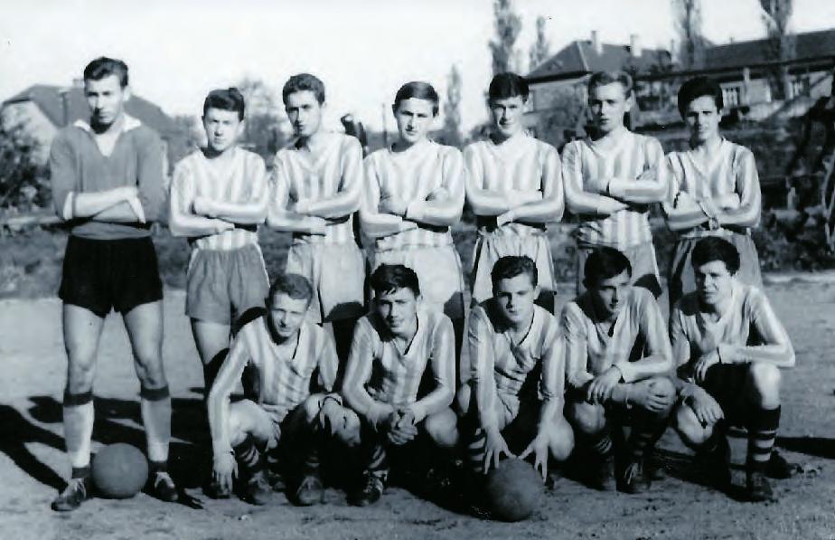 Povětšinou se dařilo již od počátků s menší či větší úspěšností, si vychovávat vlastní členskou základnu.