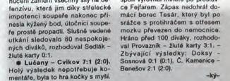 Velké změny se dočkala všechna mužstva - místo dvoubodového ohodnocení za výhru byly body tři. Po loňském paběrkování a po odchodu řady opor do divize, se neočekával příliš výrazný výsledek.