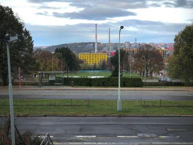 české 20