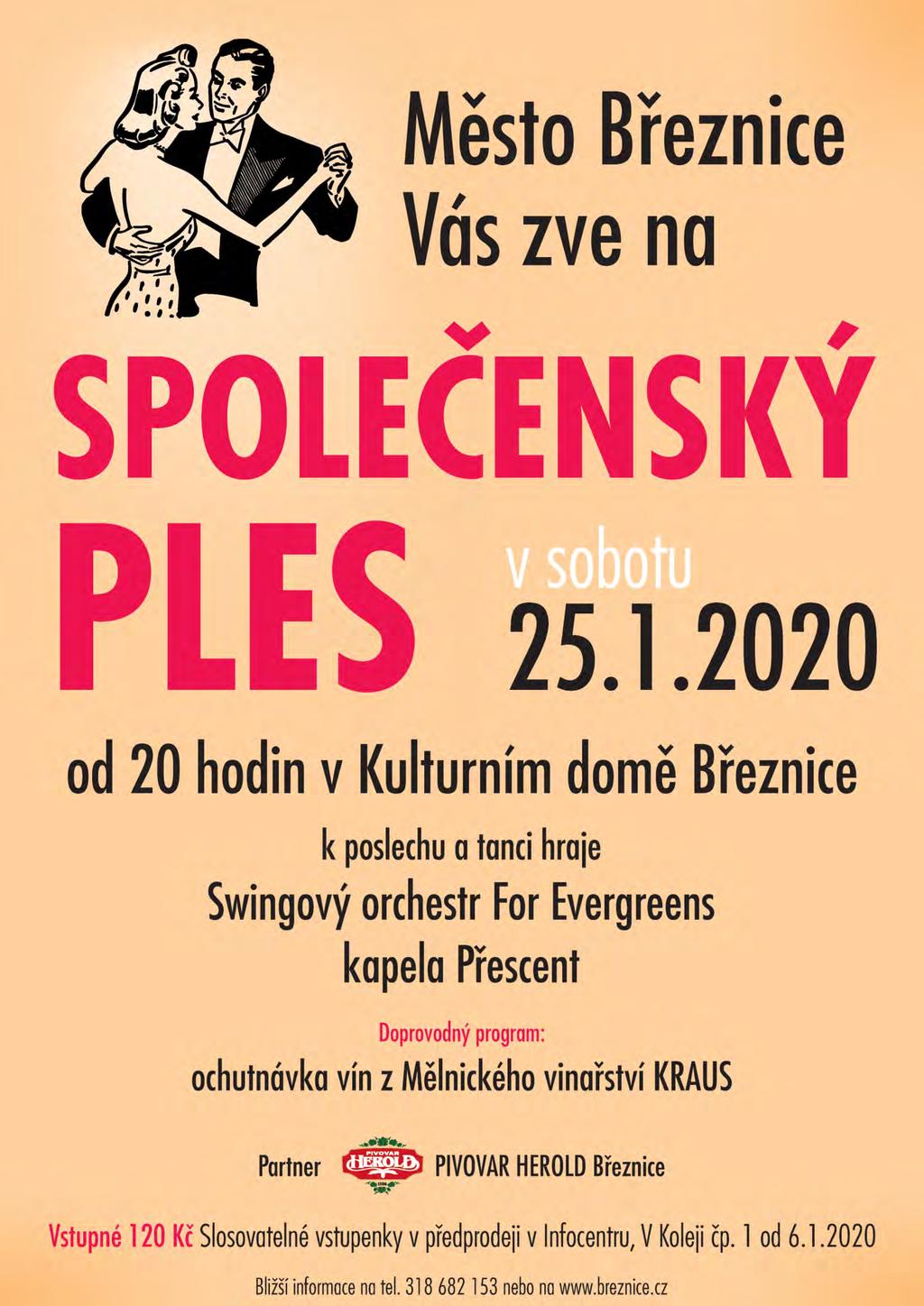 10 BŘEZNICKÉ