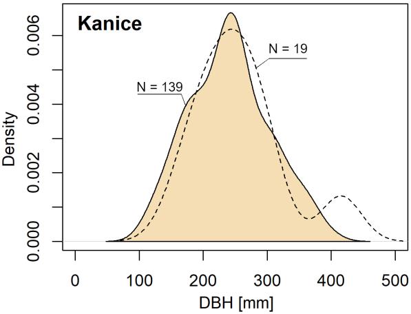 Fig. 1: The depth distribution of spruce trees at mound (dashed) and control (solid line) microsites After a relatively dry period, there was a strong increase in soil electrical conductance few days